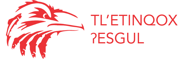 Tletinqox School Logo